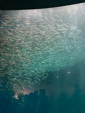 名古屋港水族館に投稿された画像（2022/8/28）