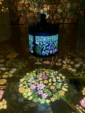 安祥文化のさとに投稿された画像（2022/8/28）