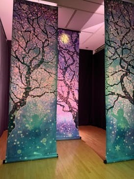 安祥文化のさとに投稿された画像（2022/8/28）