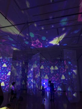 安祥文化のさとに投稿された画像（2022/8/28）