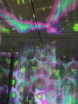 安祥文化のさとに投稿された画像（2022/8/28）