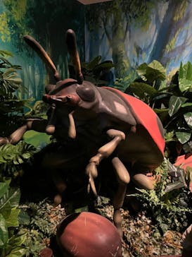 体感するファーブル昆虫展 NAGOYAに投稿された画像（2022/8/28）