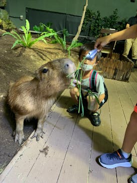 カワスイ 川崎⽔族館に投稿された画像（2022/8/28）