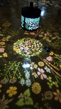 安祥文化のさとに投稿された画像（2022/8/28）