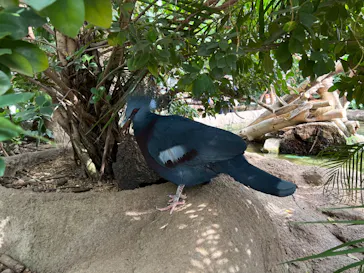 神戸どうぶつ王国に投稿された画像（2022/8/28）