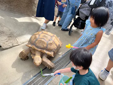 神戸どうぶつ王国に投稿された画像（2022/8/28）