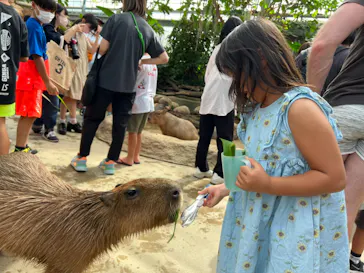 神戸どうぶつ王国に投稿された画像（2022/8/28）