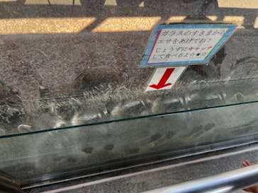 長崎バイオパークに投稿された画像（2022/8/28）