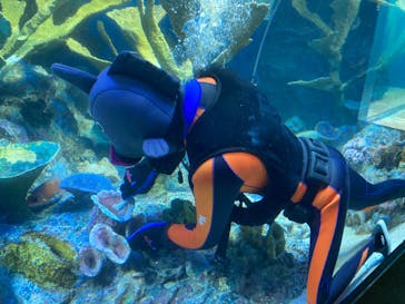 サンシャイン水族館に投稿された画像（2022/8/28）