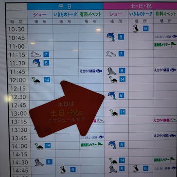 しながわ水族館に投稿された画像（2022/8/28）