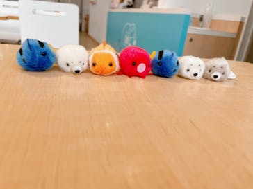 新江ノ島水族館に投稿された画像（2022/8/28）