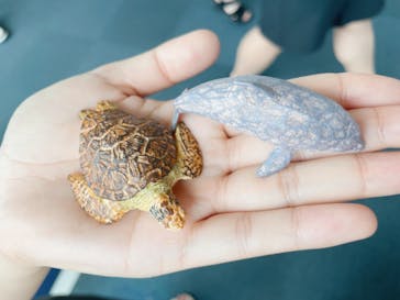 新江ノ島水族館に投稿された画像（2022/8/28）