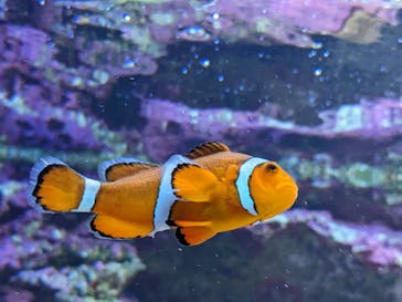 サンシャイン水族館に投稿された画像（2022/8/28）