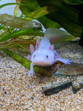 サンシャイン水族館に投稿された画像（2022/8/28）