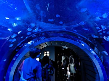 サンシャイン水族館に投稿された画像（2022/8/28）
