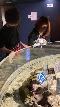 サケのふるさと 千歳水族館に投稿された画像（2022/8/28）