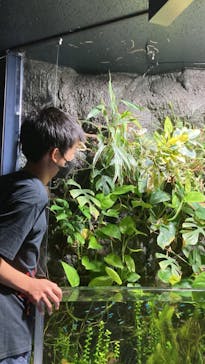 サケのふるさと 千歳水族館に投稿された画像（2022/8/28）