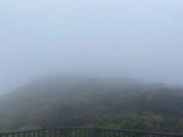 オレンジフィッシュに投稿された画像（2022/8/28）