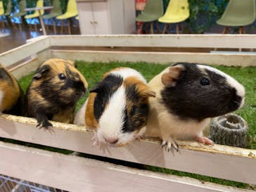 アニタッチみなとみらいに投稿された画像（2022/8/28）