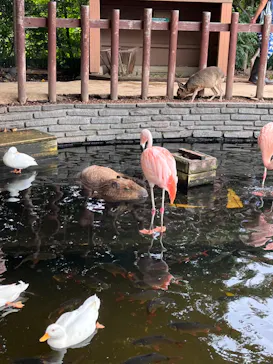 横浜・八景島シーパラダイスに投稿された画像（2022/8/28）
