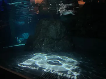 すみだ水族館に投稿された画像（2022/8/28）