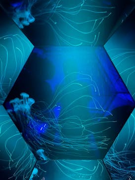 九十九島水族館海きららに投稿された画像（2022/8/28）