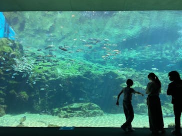 九十九島水族館海きららに投稿された画像（2022/8/28）