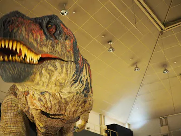 ひらかたパークに投稿された画像（2022/8/28）