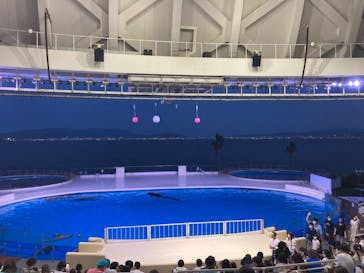 マリンワールド海の中道に投稿された画像（2022/8/28）