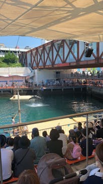 伊豆・三津シーパラダイスに投稿された画像（2022/8/28）