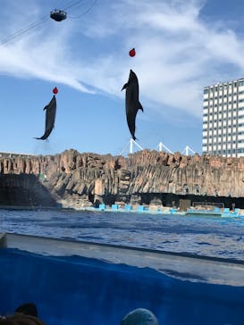 名古屋港水族館に投稿された画像（2022/8/28）