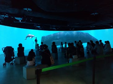 カワスイ 川崎⽔族館に投稿された画像（2022/8/28）