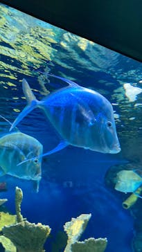 サンシャイン水族館に投稿された画像（2022/8/28）