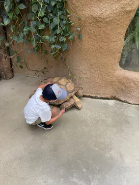 神戸どうぶつ王国に投稿された画像（2022/8/28）