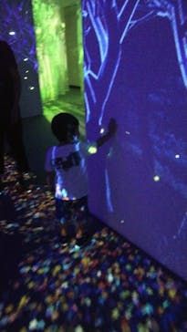 体感するファーブル昆虫展 NAGOYAに投稿された画像（2022/8/28）