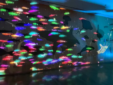 仙台うみの杜水族館に投稿された画像（2022/8/28）