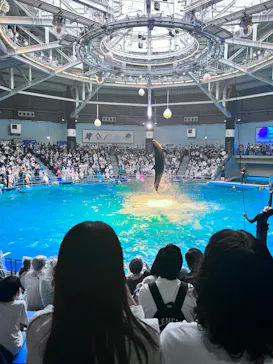 マクセル アクアパーク品川に投稿された画像（2022/8/28）