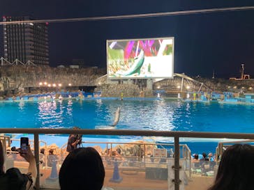 名古屋港水族館に投稿された画像（2022/8/28）