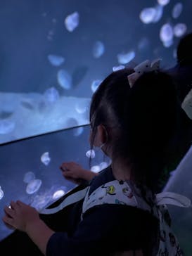 サンシャイン水族館に投稿された画像（2022/8/28）