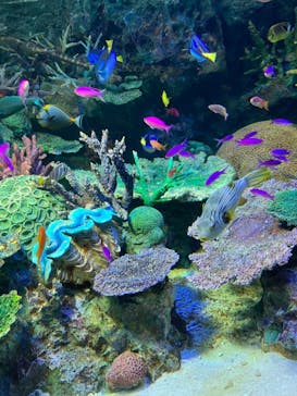 サンシャイン水族館に投稿された画像（2022/8/28）