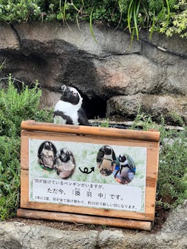 サンシャイン水族館に投稿された画像（2022/8/28）