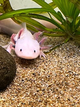 サンシャイン水族館に投稿された画像（2022/8/28）