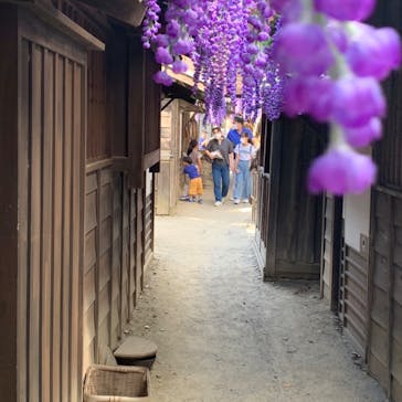 東映太秦映画村に投稿された画像（2022/8/28）