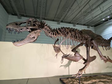 ジュラシック大恐竜展2022 in ときメッセに投稿された画像（2022/8/28）