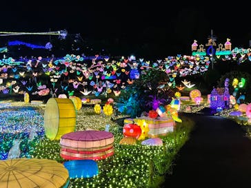 伊豆ぐらんぱる公園に投稿された画像（2022/8/28）