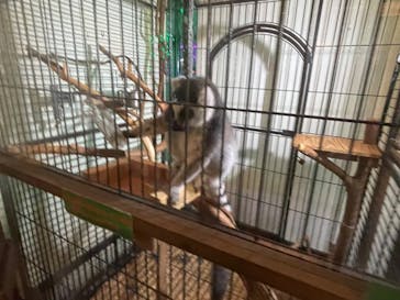 伊豆ぐらんぱる公園に投稿された画像（2022/8/28）