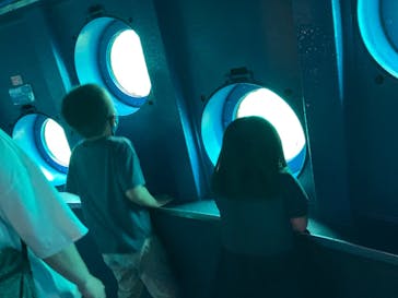 串本海中公園水族館に投稿された画像（2022/8/28）