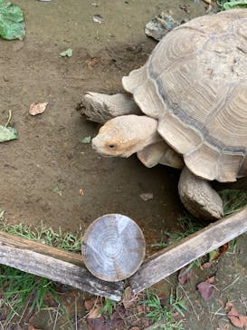 群馬サファリパークに投稿された画像（2022/8/28）