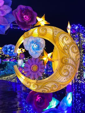 伊豆ぐらんぱる公園に投稿された画像（2022/8/28）