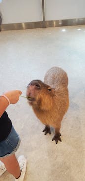 アニタッチみなとみらいに投稿された画像（2022/8/28）